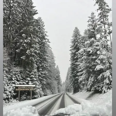 Fewo Im Bayerischen Wald, Perfekt Fur Familien Mit Pool, Abenteuerspielplatz U. Ausblick *